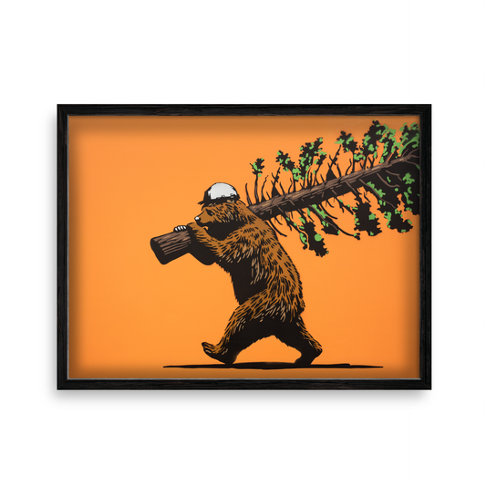 TIM BEAR