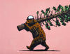 TIM BEAR